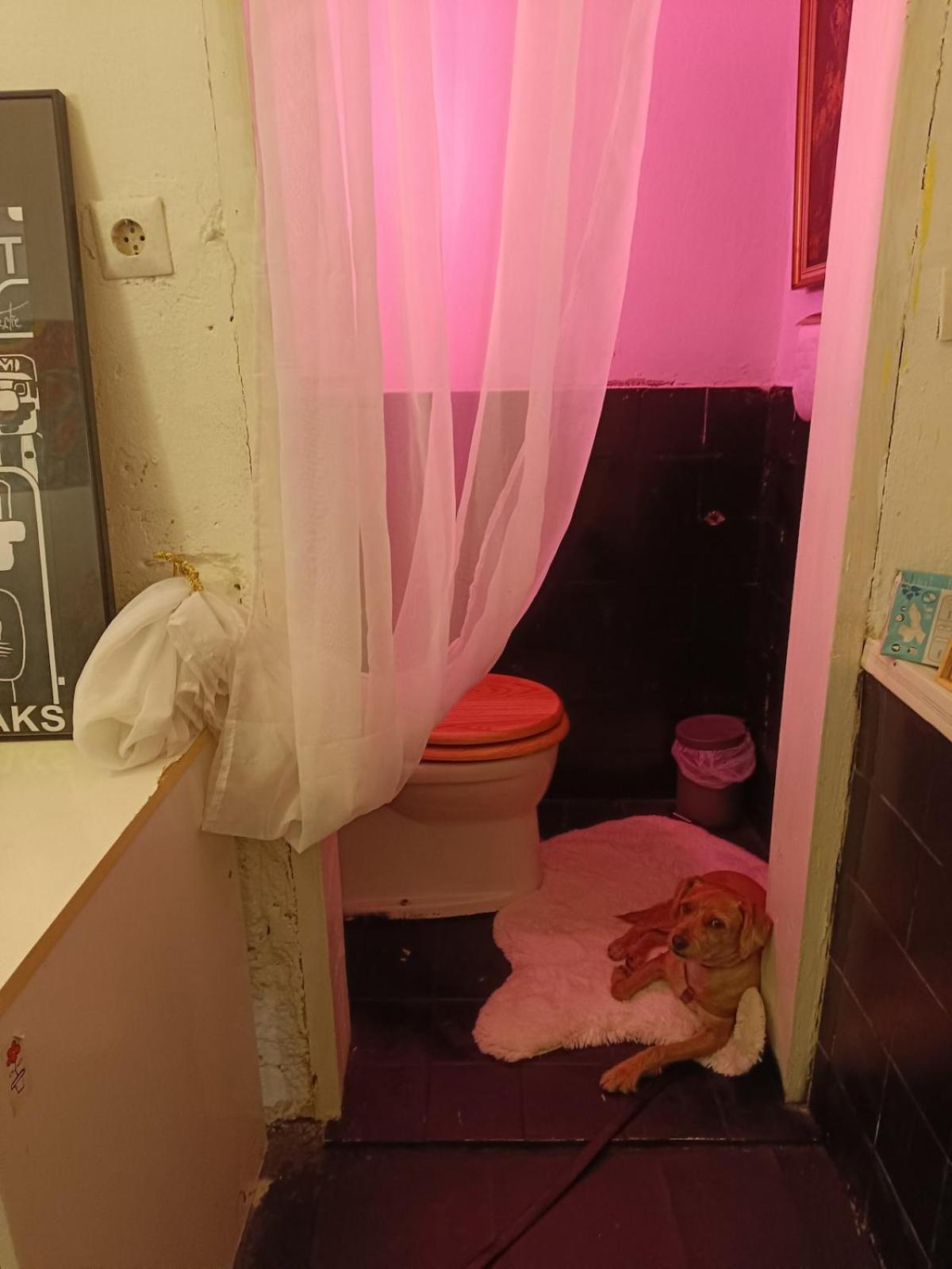 Apartment Atelier In Center, No Shower, Entire Place *