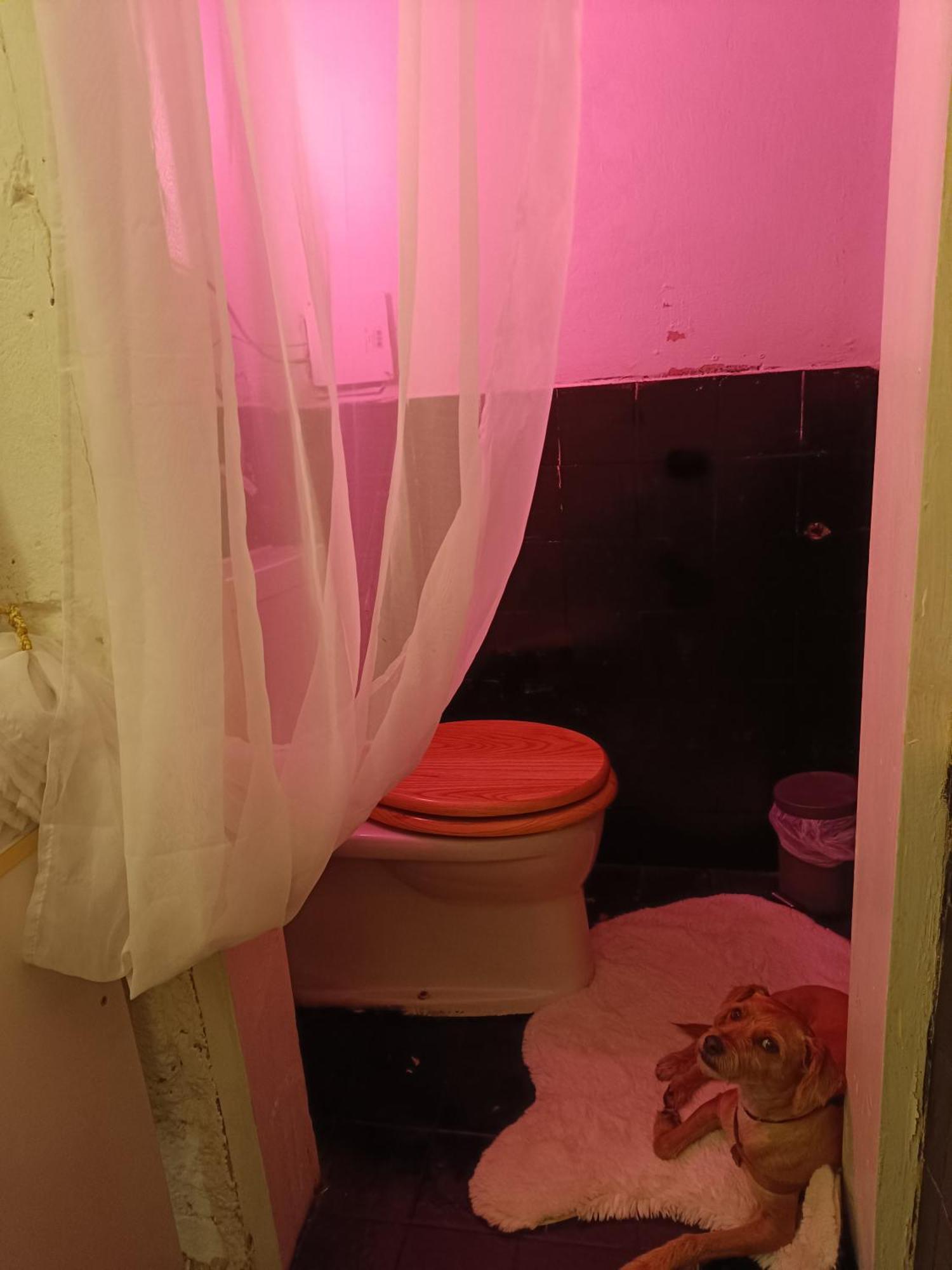 Apartment Atelier In Center, No Shower, Entire Place Wien